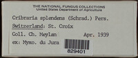 Image Associated With the Occurence